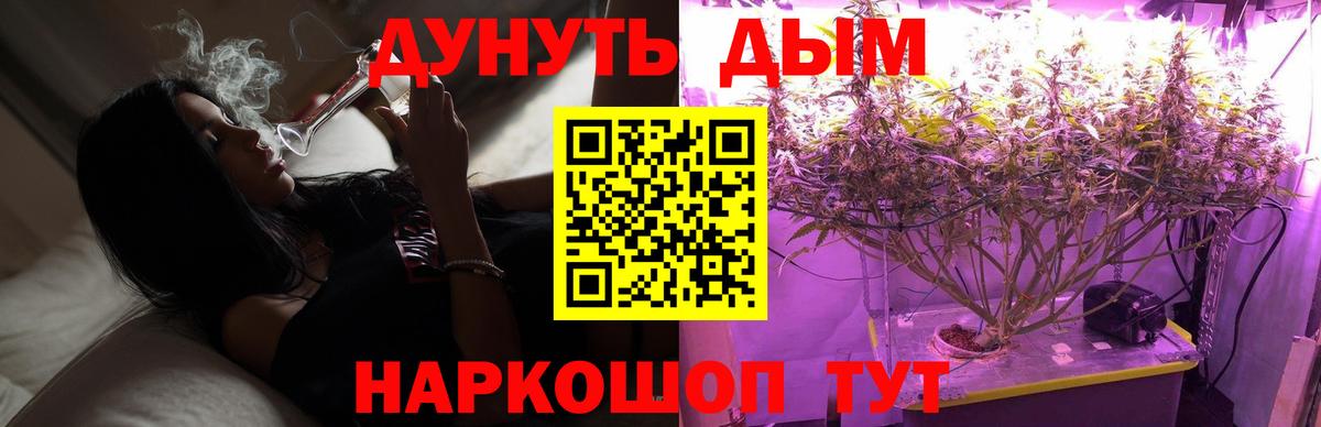 Каннабис планчик  Бошки Шишки индика  Бошки Шишки White Widow  Вход с VPN  Гай 